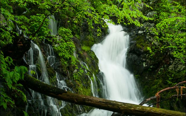 Carbon-Neutral Day Trips from NYC: 10 Eco-Friendly Adventures Within 2 Hours in 2026