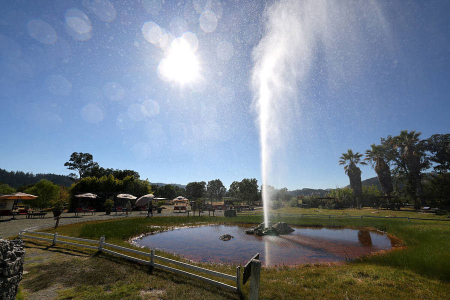 Old Faithful Geyser Napa Valley