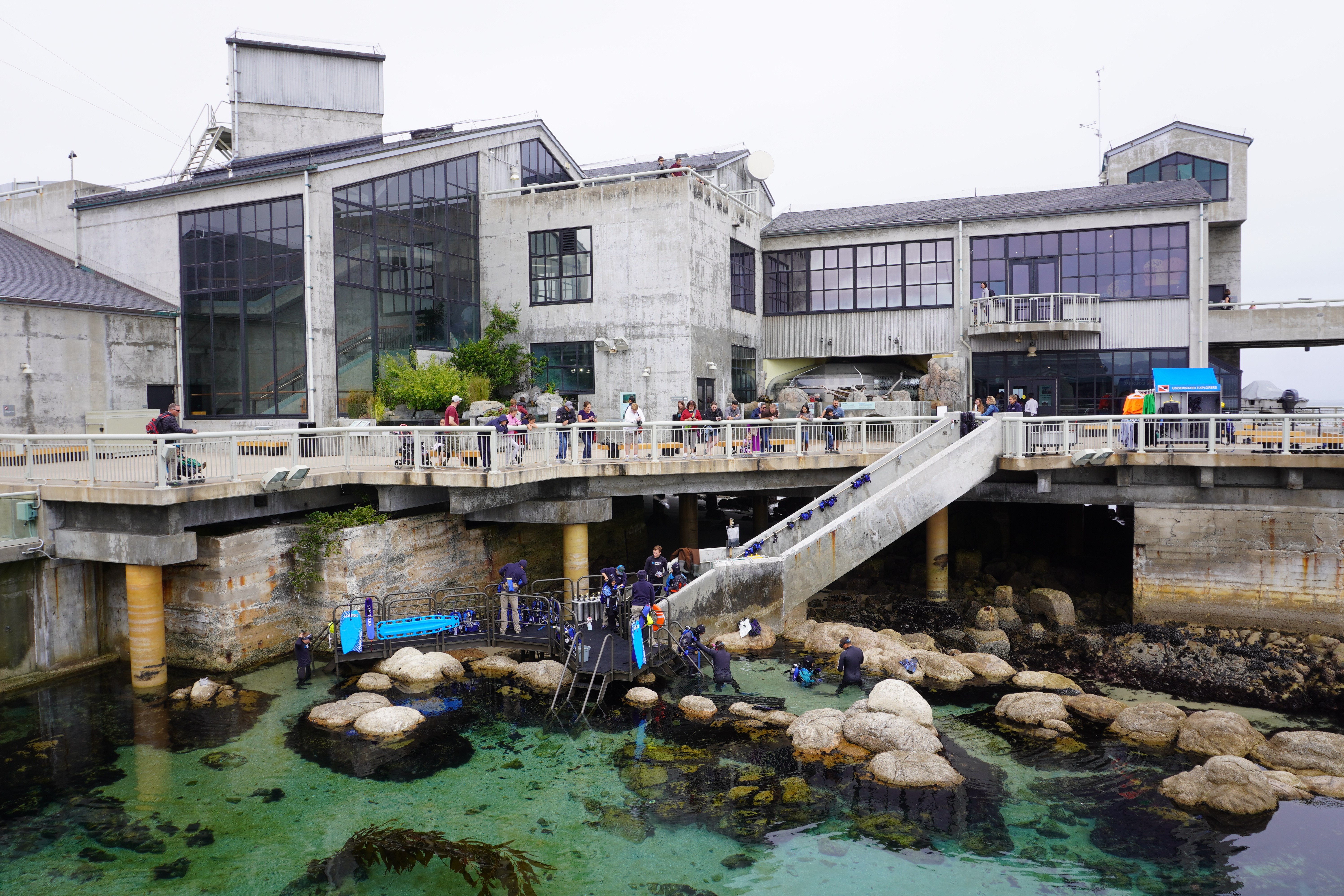 Monterey Bay Aquarium Splash Zone Penguins exhibit