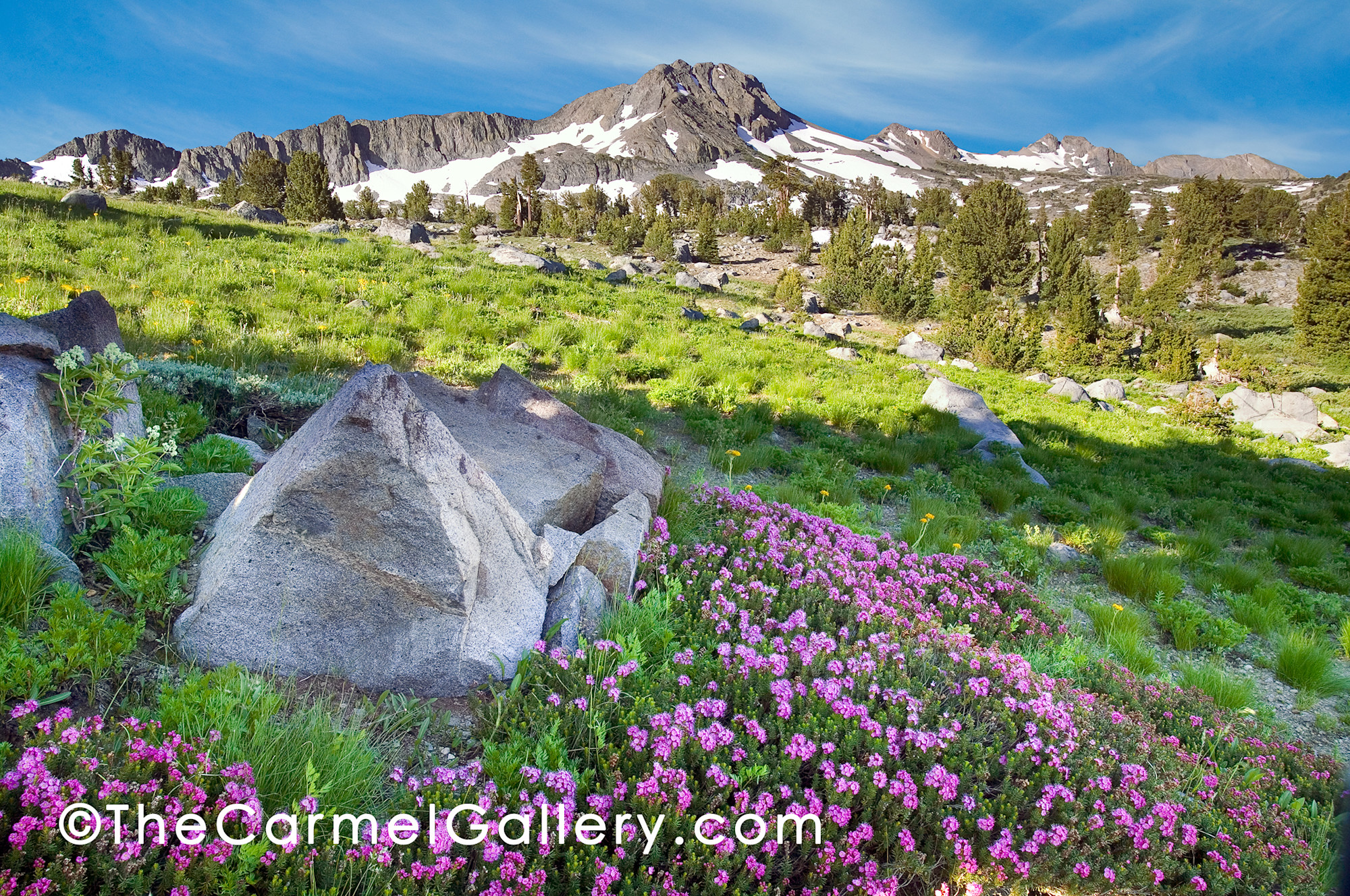 Photography West Gallery Carmel