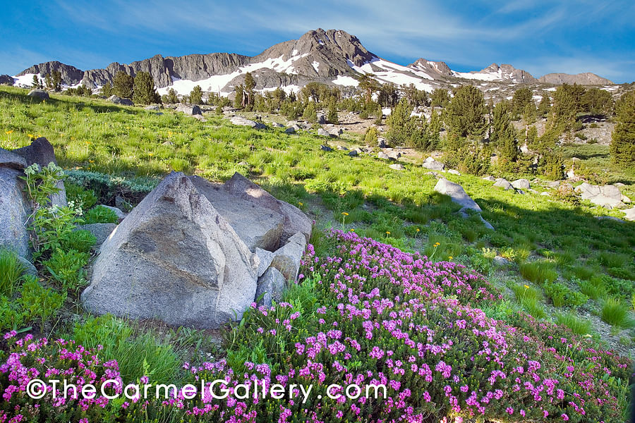 Photography West Gallery Carmel