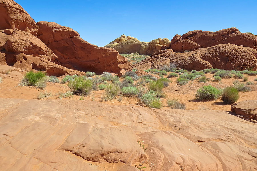 Valley of Fire camping