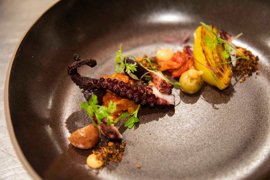 Gourmet meal at a Napa Valley restaurant