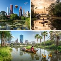Electrifying Excursions: Day Trips from Houston That Will Spark Your Interest