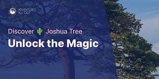 Unlock the Magic - Discover 🌵 Joshua Tree