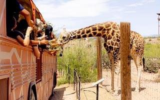 Do American schools go on multi-day trips?